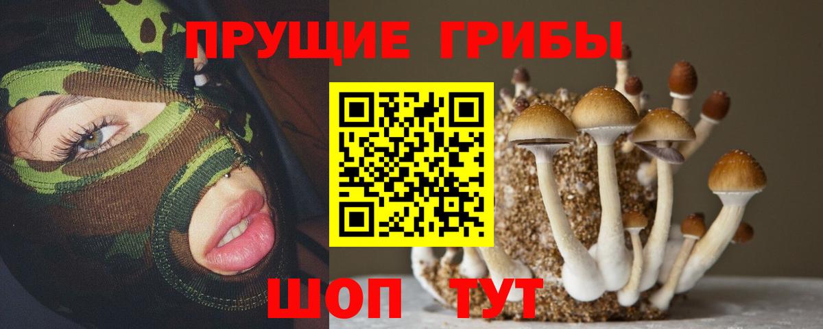 Верхняя Пышма  Галлюциногенные грибы прущие грибы  Вход с VPN 