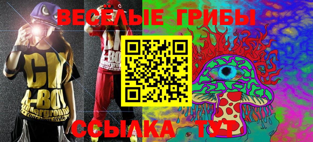 Псилоцибиновые грибы ЛСД Верхняя Пышма